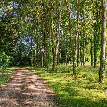 La Maison Cornière Appartement